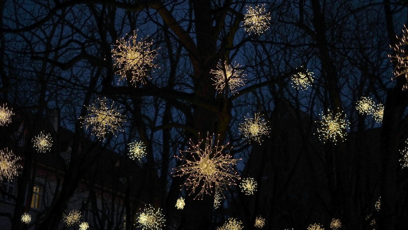 silhouette of bare trees during nighttime