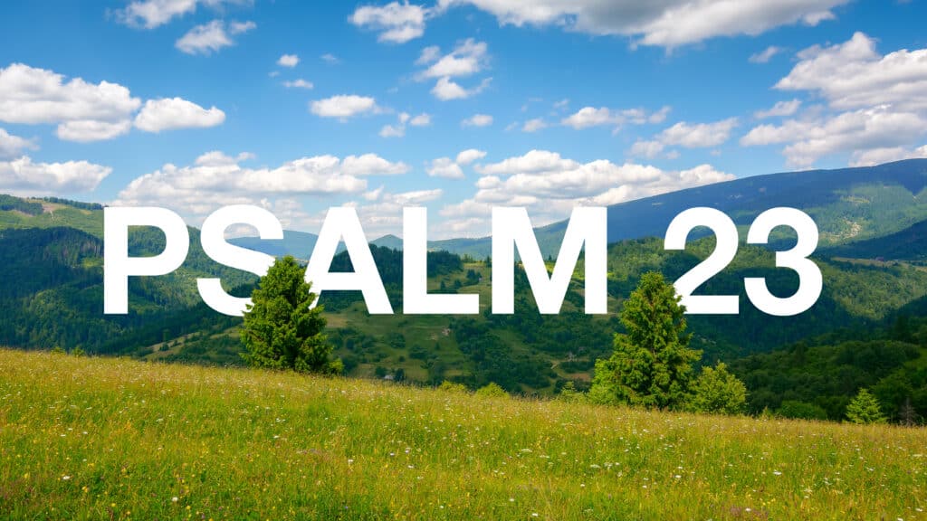 green field on the hill in mountains. wonderful carpathian countryside scenery on a sunny day with fluffy clouds. blooming herbs among the grass